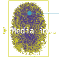 D Media thumbprint